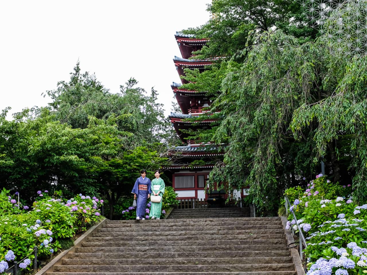 Hodoji Temple pagoda with hudrangeas and women clad in kimono