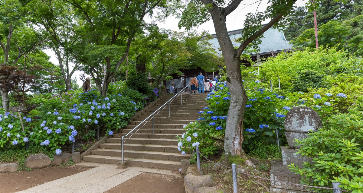 Hondoji main temple