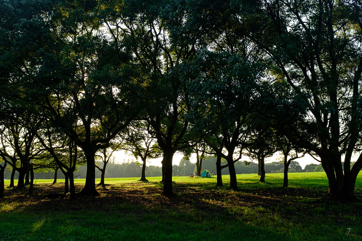 Best parks for families in Tokyo: Mizumoto Park