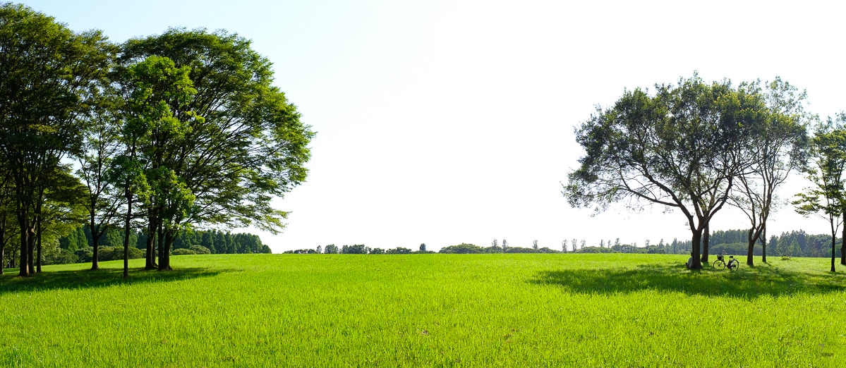 Mizumoto Park central field