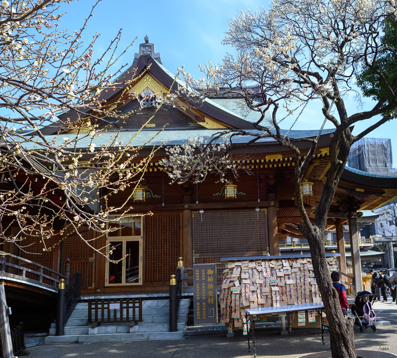 One of the best places to see plum blosoms in tokyo, Yushima Tenjin Shrine